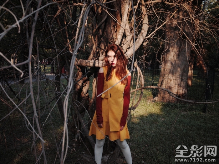 斑斓摄影怎么样 斑斓图是什么意思