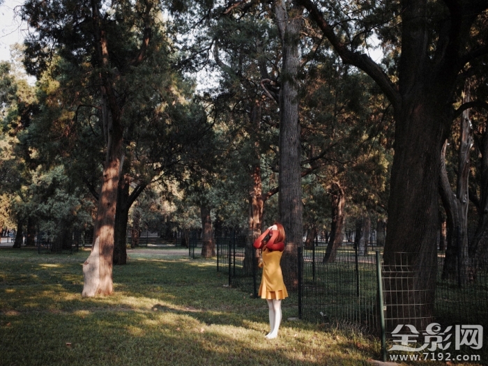 斑斓摄影怎么样 斑斓图是什么意思