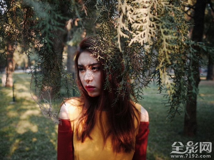 斑斓摄影怎么样 斑斓图是什么意思