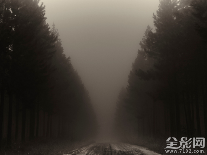 寂静岭走廊 寂静岭是啥图1