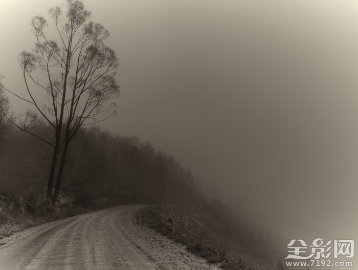 寂静岭走廊 寂静岭是啥