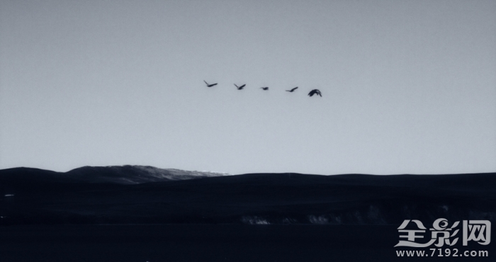 我喜欢你是寂静的仿佛你消失了一样是什么歌 我喜欢你是寂静的聂鲁达图3