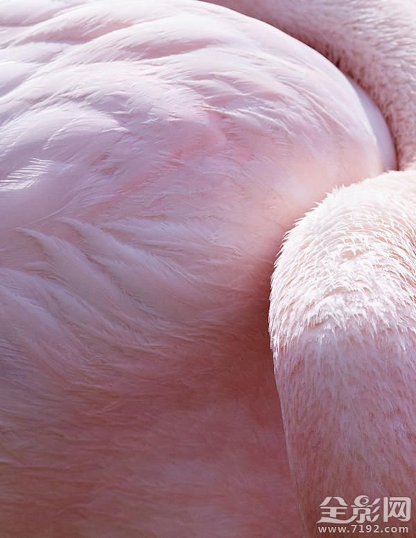 各地年鉴 这感觉太上头了表情包图3