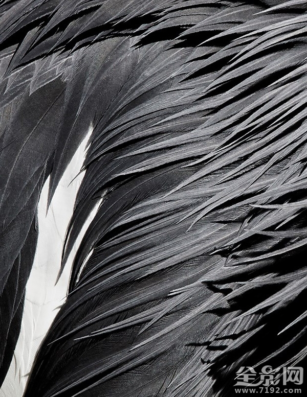 各地年鉴 这感觉太上头了表情包