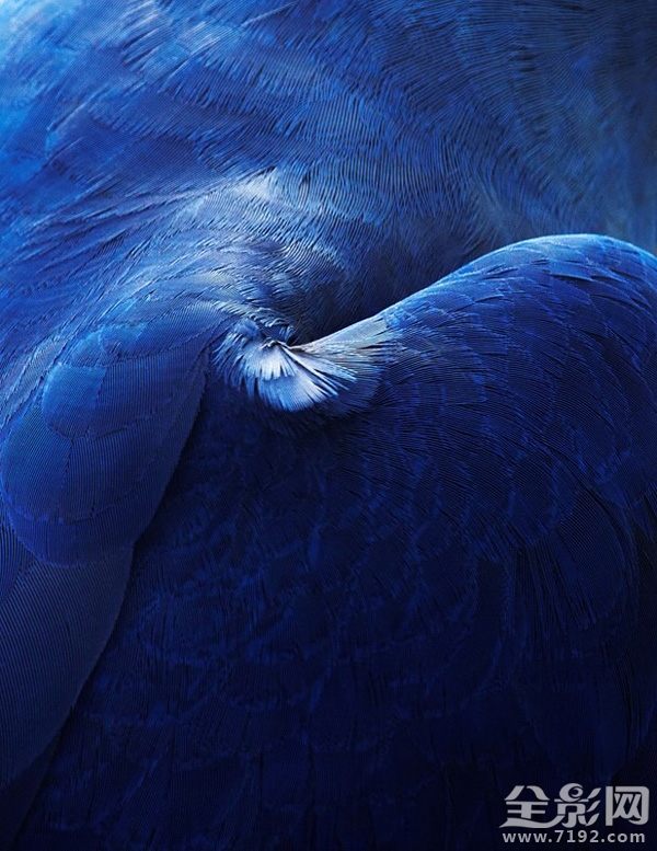 各地年鉴 这感觉太上头了表情包