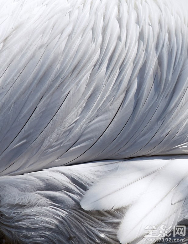 各地年鉴 这感觉太上头了表情包