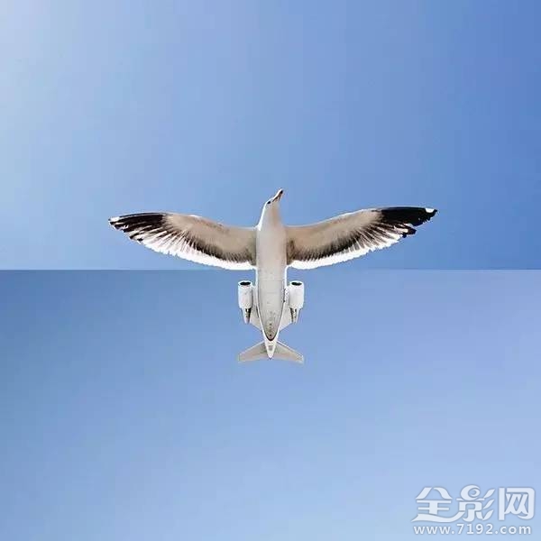 用iphone打造超现实摄影作品 苹果超现实主义绘画