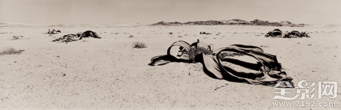 优秀全景摄影作品欣赏图片 全景摄影作品分析