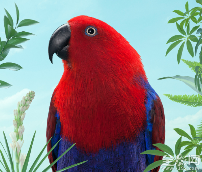 动物摄影照片 动物摄影背后的真相图3