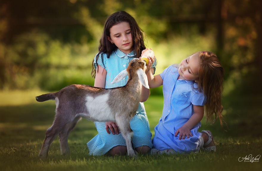 儿童摄影小清新 儿童摄影模板素材