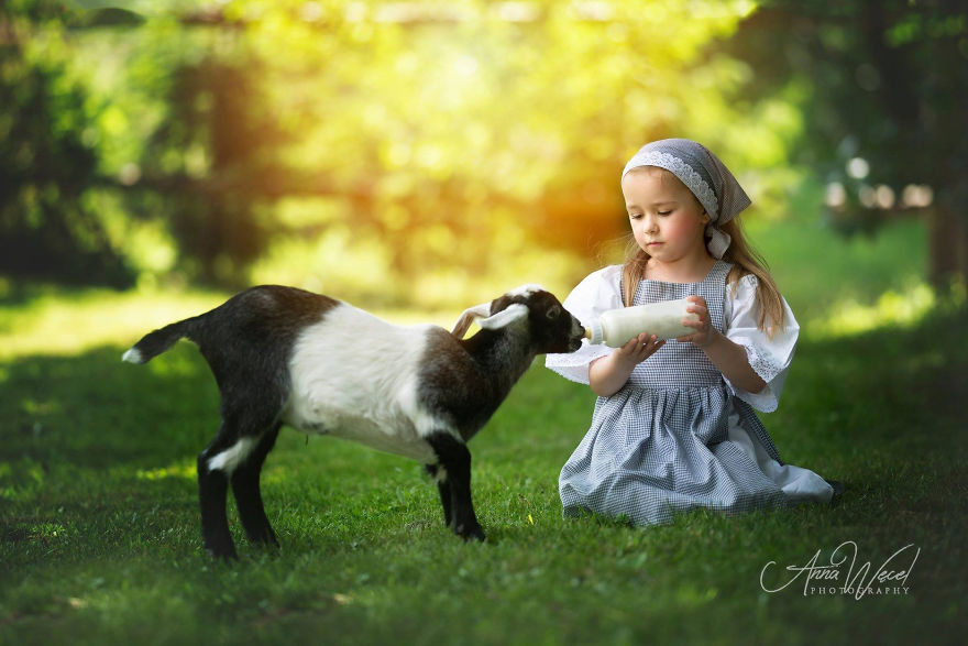 儿童摄影小清新 儿童摄影模板素材