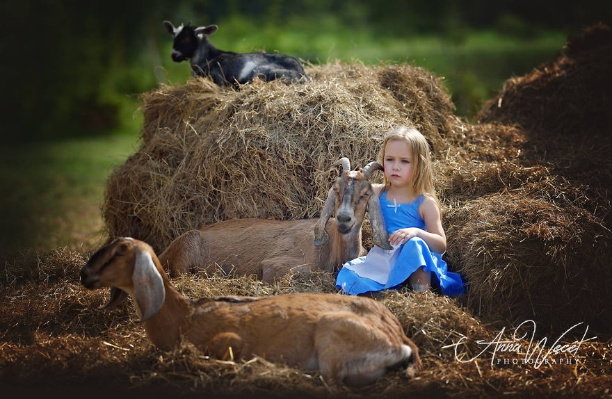 儿童摄影小清新 儿童摄影模板素材