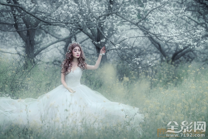 解语花的真正意思是什么 解语花百度百科