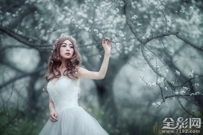 解语花的真正意思是什么 解语花百度百科