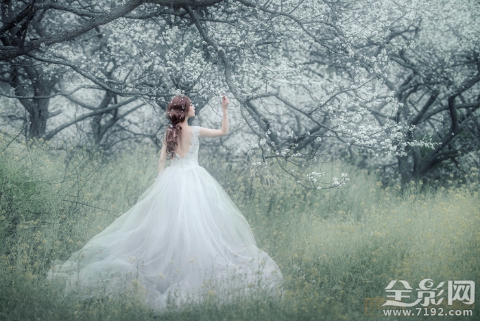 解语花的真正意思是什么 解语花百度百科