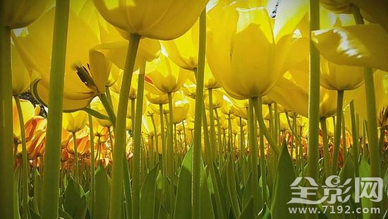 2017国家地理摄影大赛获奖作品 2019地理摄影大赛图1