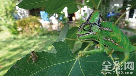 2017国家地理摄影大赛获奖作品 2019地理摄影大赛图2