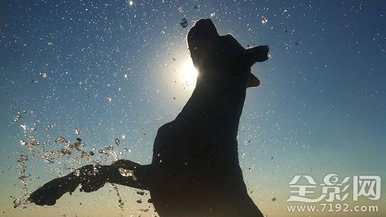 2017国家地理摄影大赛获奖作品 2019地理摄影大赛图3