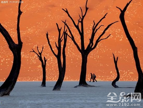 摄影师油画人像作品 摄影作品画成油画侵权吗图3