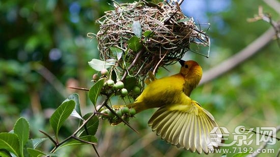 2017国家地理摄影大赛获奖作品 2019地理摄影大赛