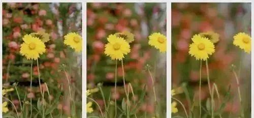 摄影师拍照技巧 摄影入门大全-教你拍出惊人之作图2