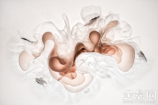 亚洲婚礼摄影师协会 asia国际摄影比赛