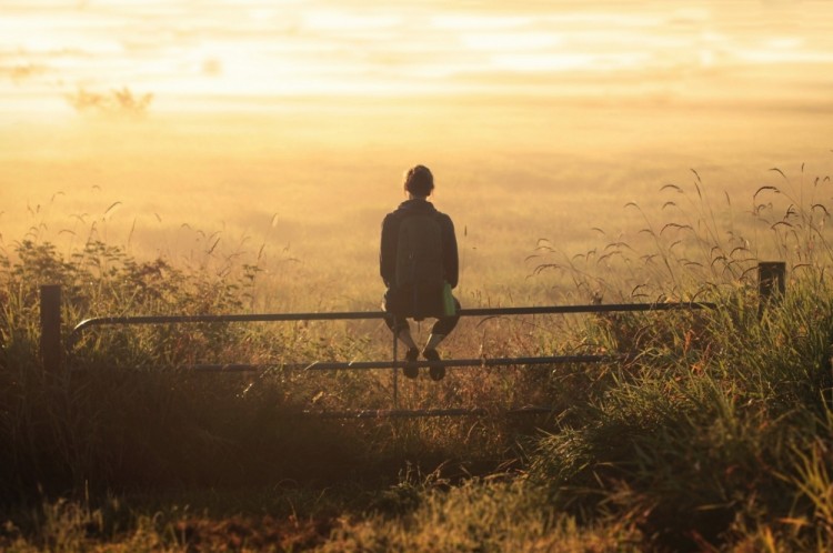 生长于山峦海洋之间的植物 生长于海洋的植物