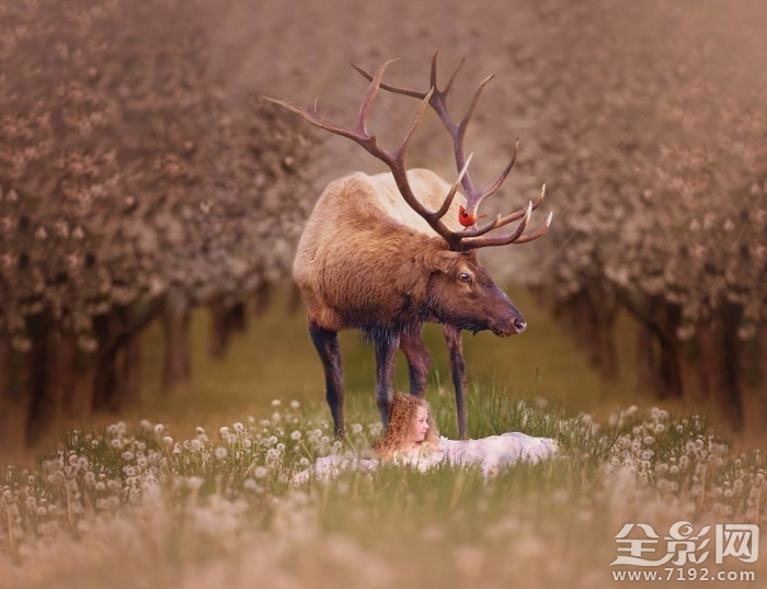 与动物相伴 动物与儿童唯美相遇