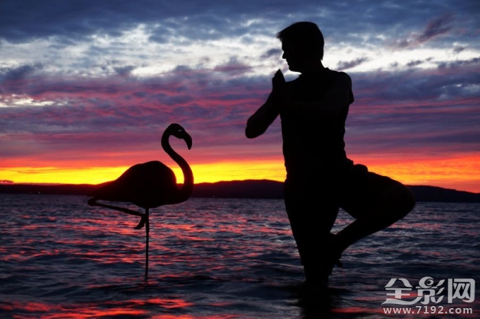 当手工剪纸遇到摄影怎么办 剪纸上摄影技术图3