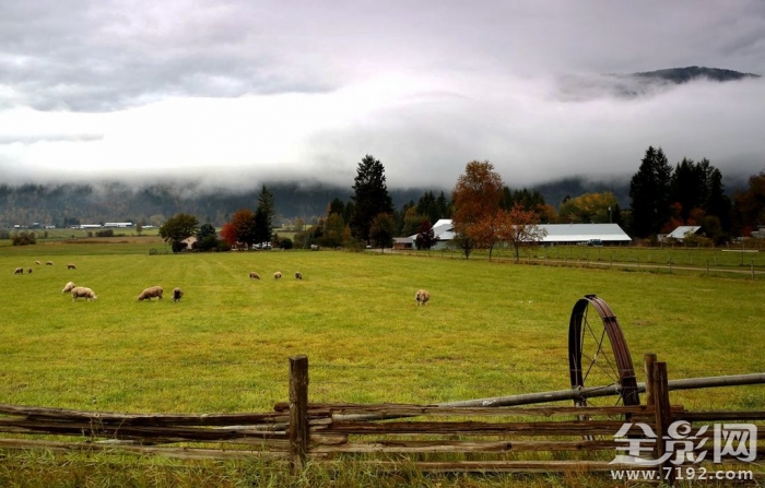 加拿大洛基山脉 加拿大落基山图片