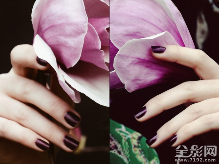 春光玉兰花摄影作品 春兰玉涛简介