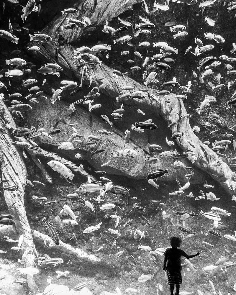 黑白摄影男 黑白摄影艺术家