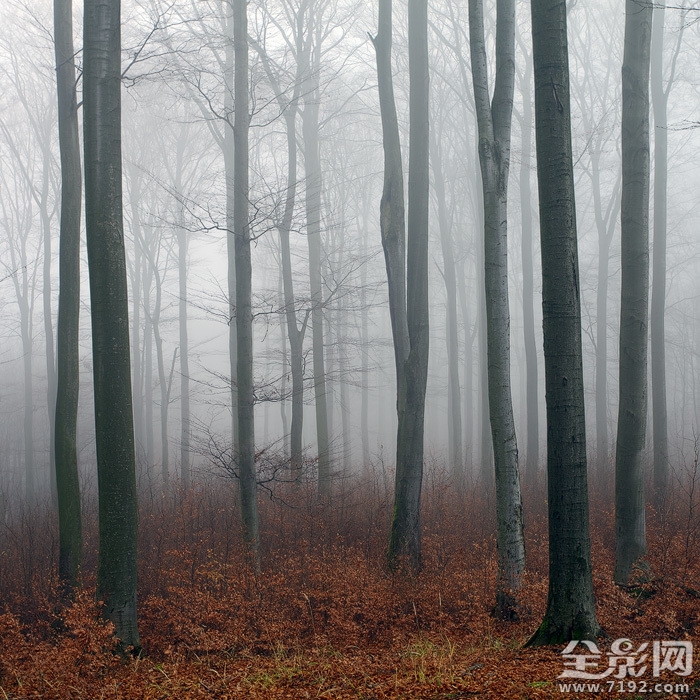 捷克摄影师风光片欣赏 捷克摄影师介绍图1