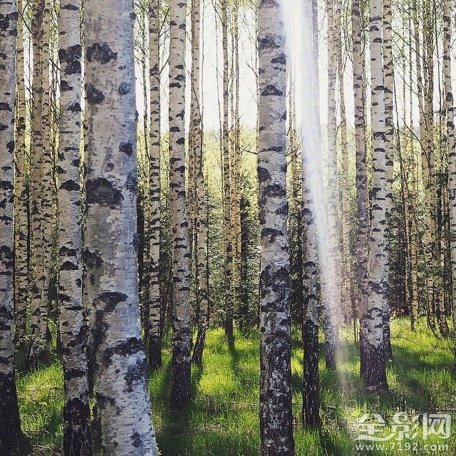 风光摄影师ling 世界顶级风光摄影大师图3