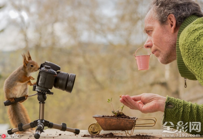 瑞士松鼠小径 德国小松鼠图2