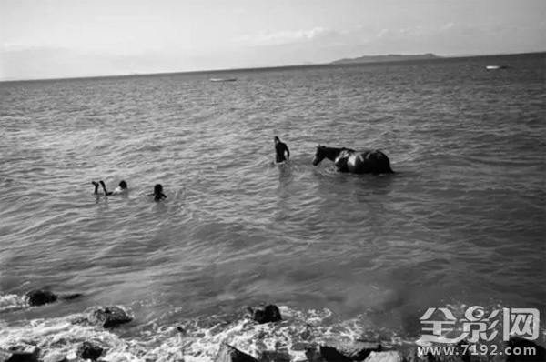 愉快的儿科医生 快进的儿科医生