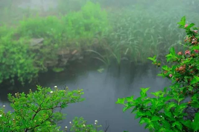 请问雨天 雨天live图2