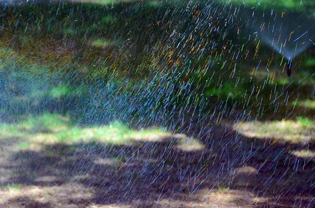 请问雨天 雨天live图3