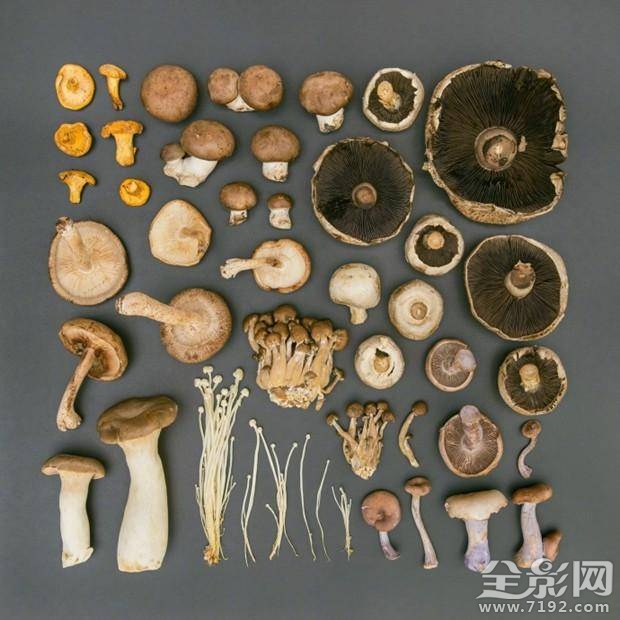 渐变色手机有哪些 渐变色手机背景图图3