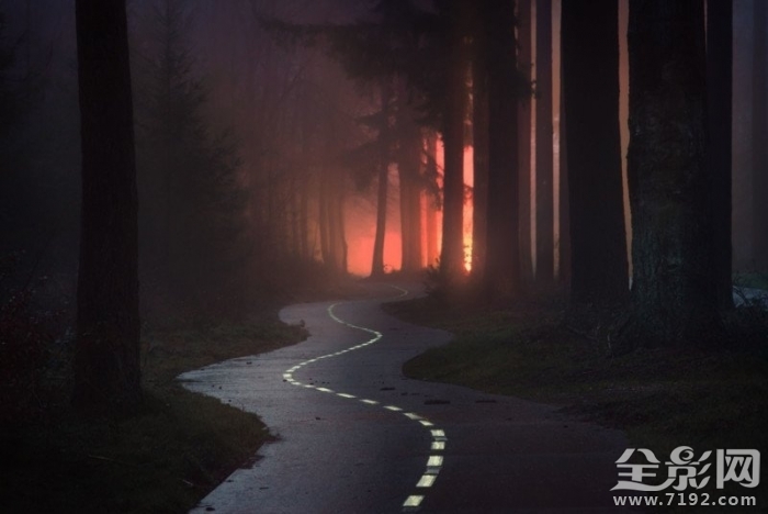 森林漫步 森林漫步简谱