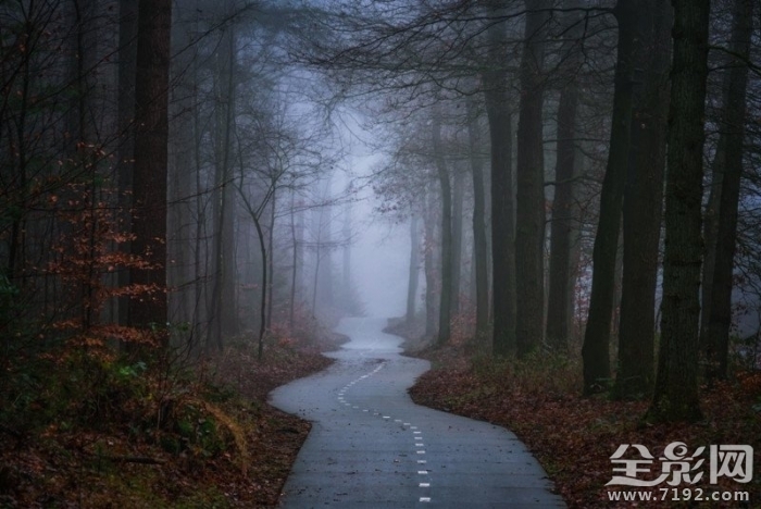 森林漫步 森林漫步简谱