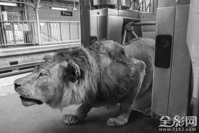 人和动物共处的世界有哪些 人和动物共生存