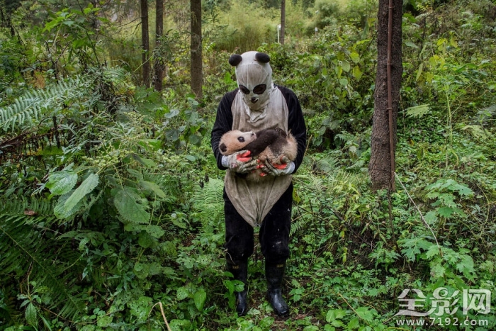 2017索尼世界摄影奖入围作品欣赏图 2019索尼世界摄影大赛获奖作品图3