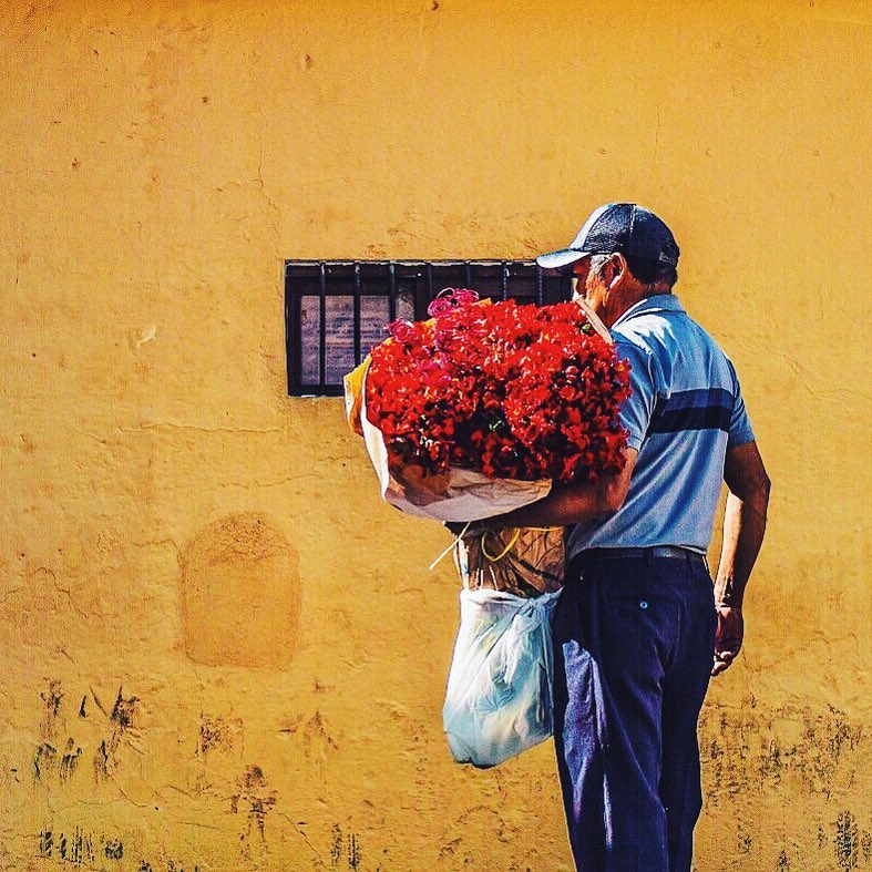 生活中的色彩现象 生活中的色彩是怎样形成的图1