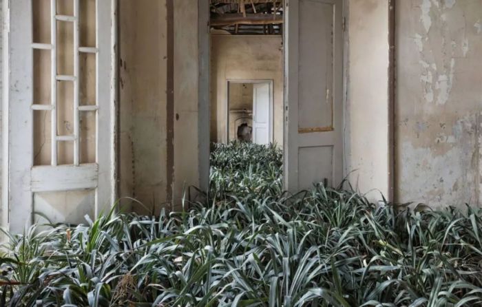 无处安身的意思 无处安身到处流浪的成语是什么图3