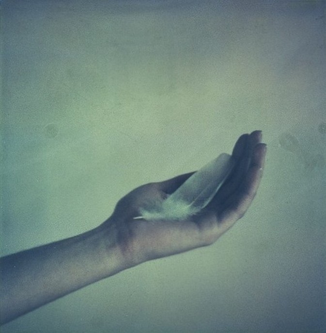 宝丽来影集 宝丽来the button