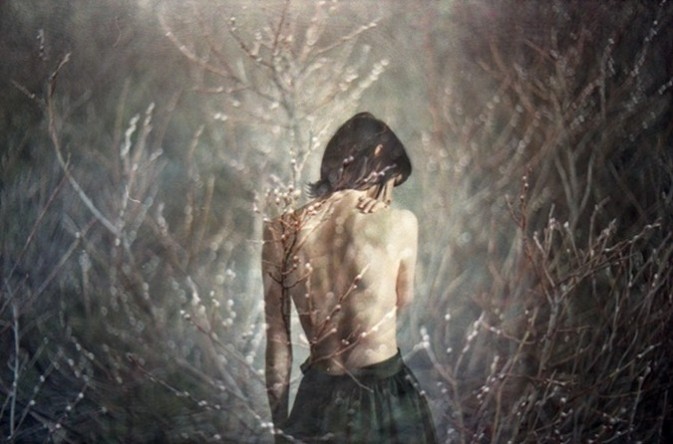 宝丽来影集 宝丽来the button