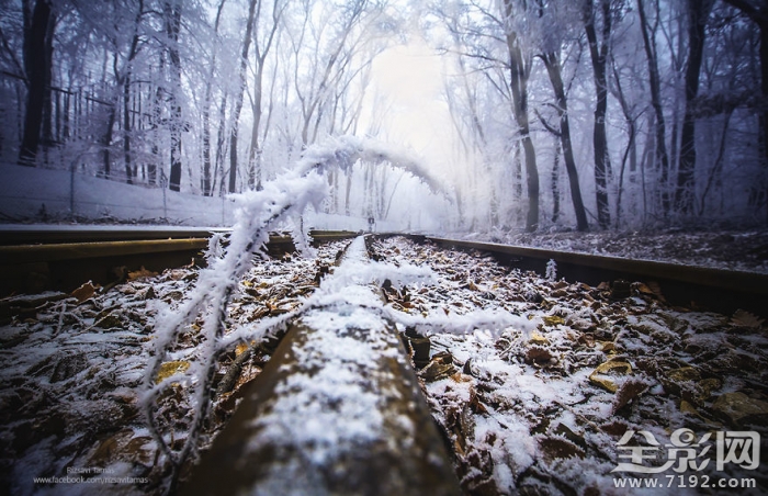 下一站的主题曲 下一站简介