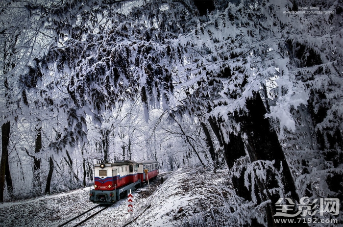 下一站的主题曲 下一站简介