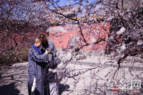 少林寺摄影 少林寺主持排名图2